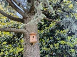 a birds house